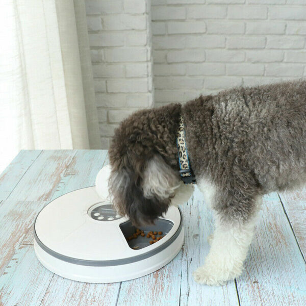 Automatic 6 Day Meal Timed Pet Dog Cat Feeder Food Bowl Auto Holiday Dispenser - Image 9